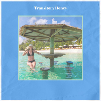 Various Artists - Transitory Honey