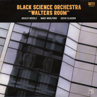 Black Science Orchestra - Walter's Room