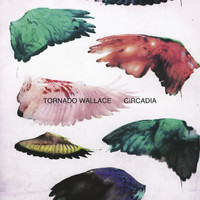 Tornado Wallace - Circadia