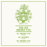 She Lies - Needed You