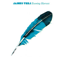 James Teej - Evening Harvest