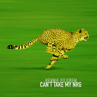 Rennie Pilgrem - Can't Take My NRG (Dub Version)
