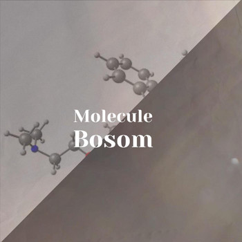 Various Artists - Molecule Bosom