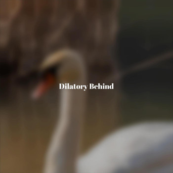 Various Artists - Dilatory Behind