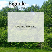 Bigmile - Go