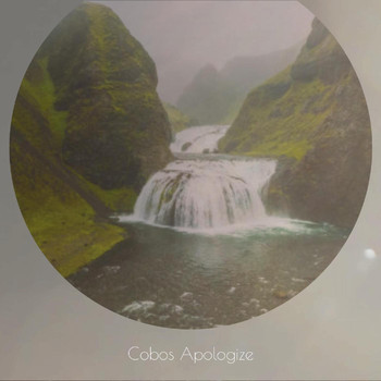 Various Artists - Cobos Apologize