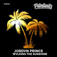 JORDVN PRINCE - Wvlking the Sunshine