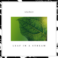 Sacred - Leaf In A Stream