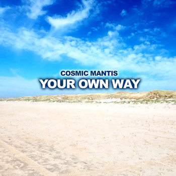 Cosmic Mantis - Your Own Way