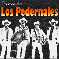 Los Pedernales - Exitos De