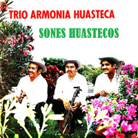Trío Armonía Huasteca - Sones huastecos
