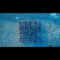iLo - Shelter (unplugged)