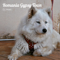 DJ Matt - Romania Gypsy Town