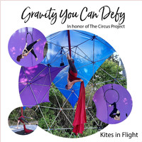 Kites in Flight - Gravity You Can Defy