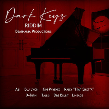 Various Artists - Dark Keys Riddim (Explicit)