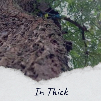 Various Artists - In Thick
