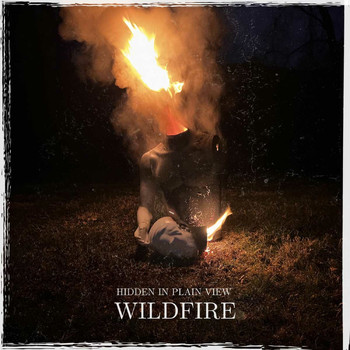 Hidden In Plain View - Wildfire