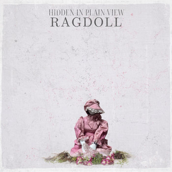 Hidden In Plain View - Ragdoll