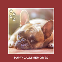 Relaxing Dog Music - Puppy Calm Memories