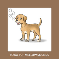 Relaxing Dog Music - Total Pup Mellow Sounds