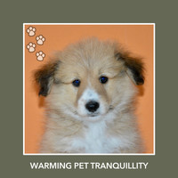 Relaxing Dog Music - Warming Pet Tranquillity