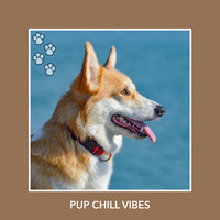 Relaxing Dog Music - Pup Chill Vibes