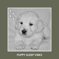 Relaxing Dog Music - Puppy Sleep Vibes