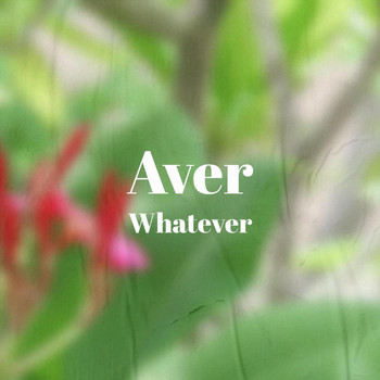 Various Artists - Aver Whatever