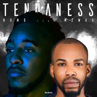 Tendaness - Numb (feat. Mzwaa)