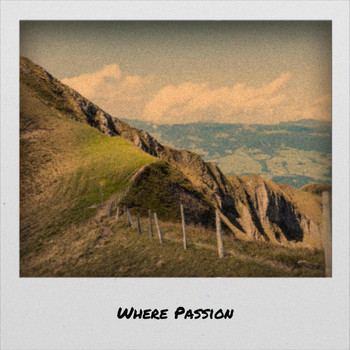 Various Artists - Where Passion