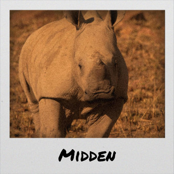 Various Artists - Midden