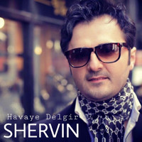 Shervin - Havaye Delgir