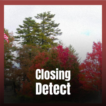 Various Artists - Closing Detect