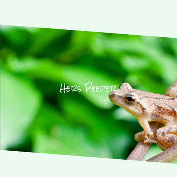 Various Artists - Hers Peeper