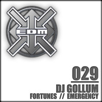 DJ Gollum - Fortunes / Emergency