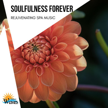 Various Artists - Soulfulness Forever - Rejuvenating Spa Music