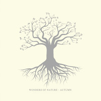 Wonders of Nature - Autumn (Compilation)