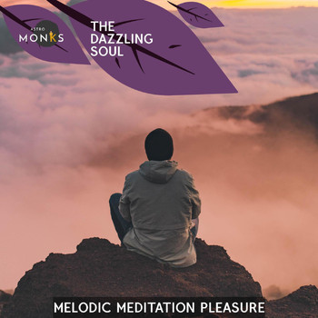 Various Artists - The Dazzling Soul - Melodic Meditation Pleasure