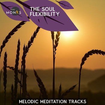 Various Artists - The Soul Flexibility - Melodic Meditation Tracks