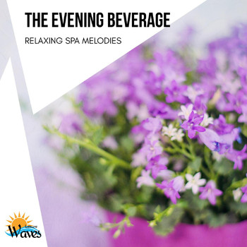 Various Artists - The Evening Beverage - Relaxing Spa Melodies