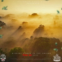 Itz-Beez-Da TrackStar - Riddims Hidden In The Amazon, Vol. 12
