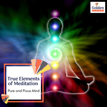 Various Artists - True Elements of Meditation - Pure and Pious Mind