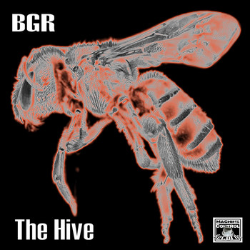 BGR (Beat Groove Rhythm) - The Hive