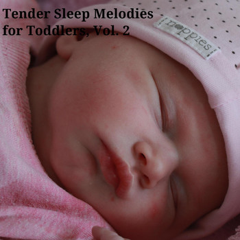 Various Artists - Tender Sleep Melodies for Toddlers, Vol. 2