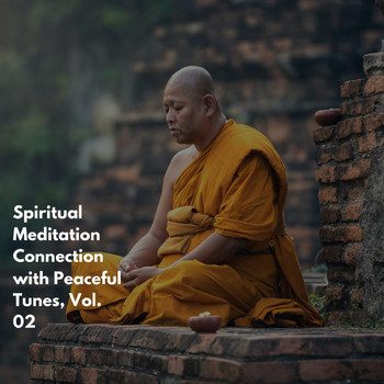 Various Artists - Spiritual Meditation Connection with Peaceful Tunes, Vol. 02