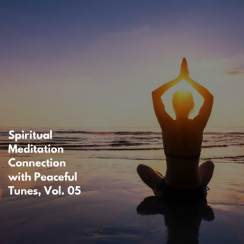 Various Artists - Spiritual Meditation Connection with Peaceful Tunes, Vol. 05