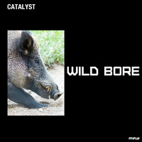 Catalyst - Wild Bore