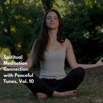 Various Artists - Spiritual Meditation Connection with Peaceful Tunes, Vol. 10