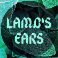 Sparkle Blood - Lamb's Ears