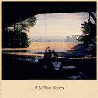 Vases - A Million Roses